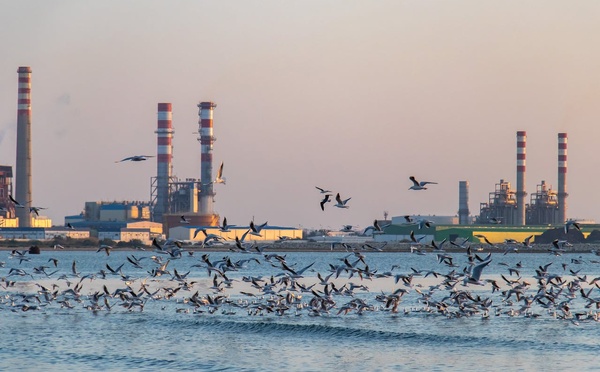 Budget 2025 : une impulsion pour la décarbonation de l’industrie française